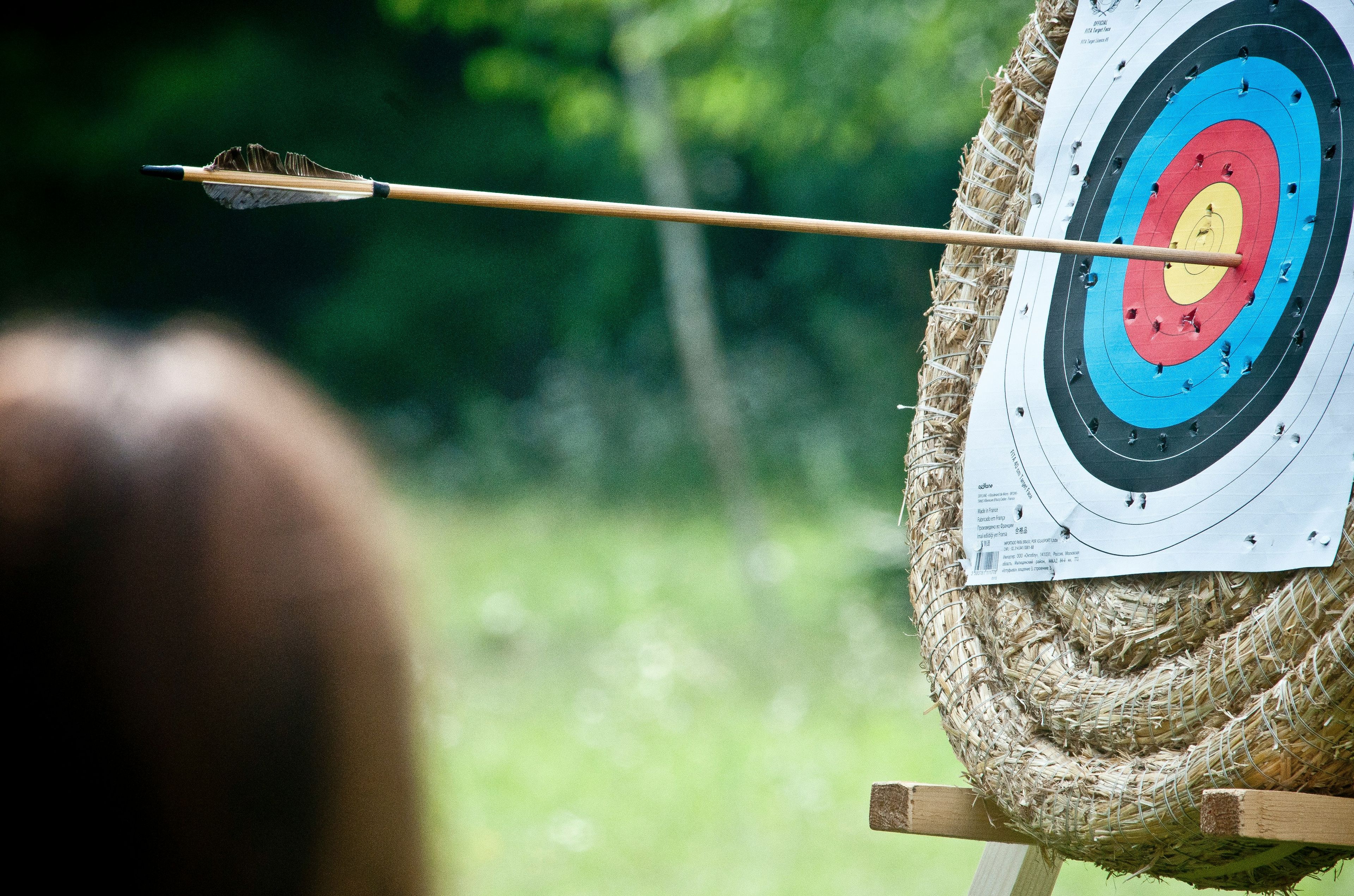 A bow on an archery board