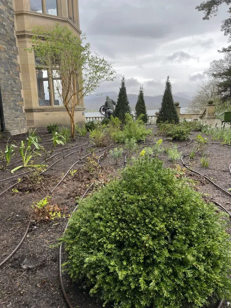 Rows of leaky pipes across the garden