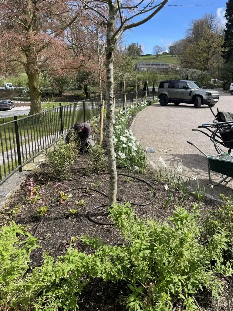 A man gardening.