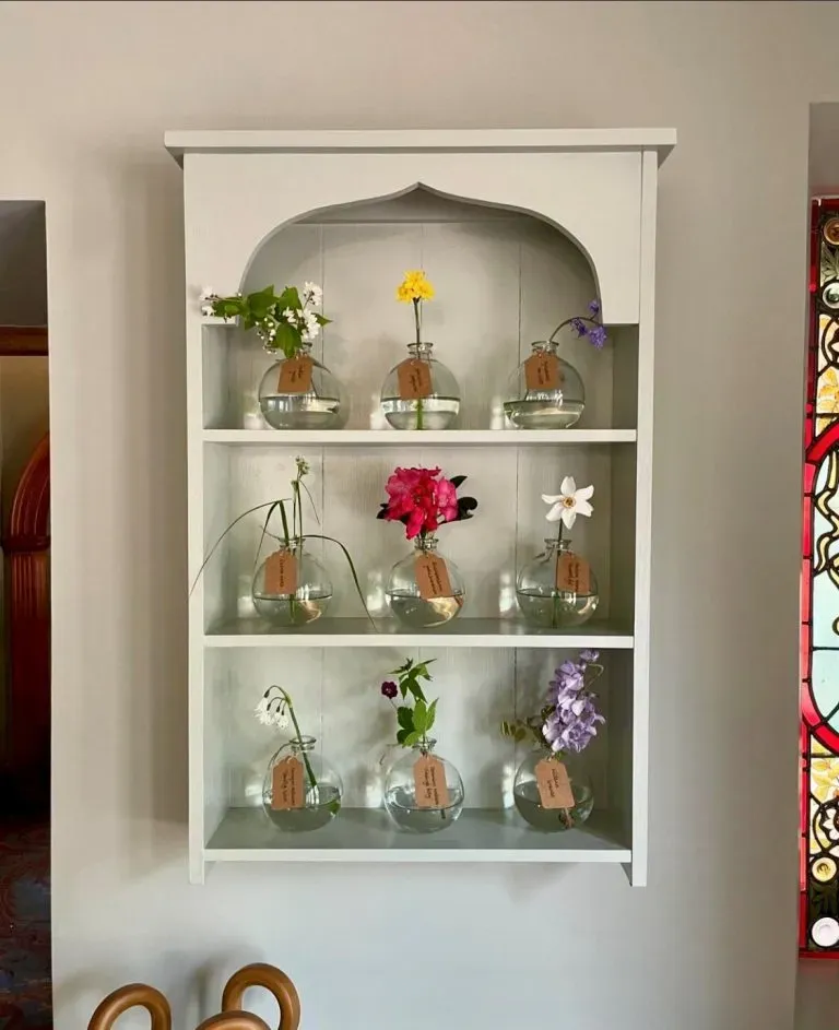 A collection of the team's favourite plants at the Auricular Theatre.