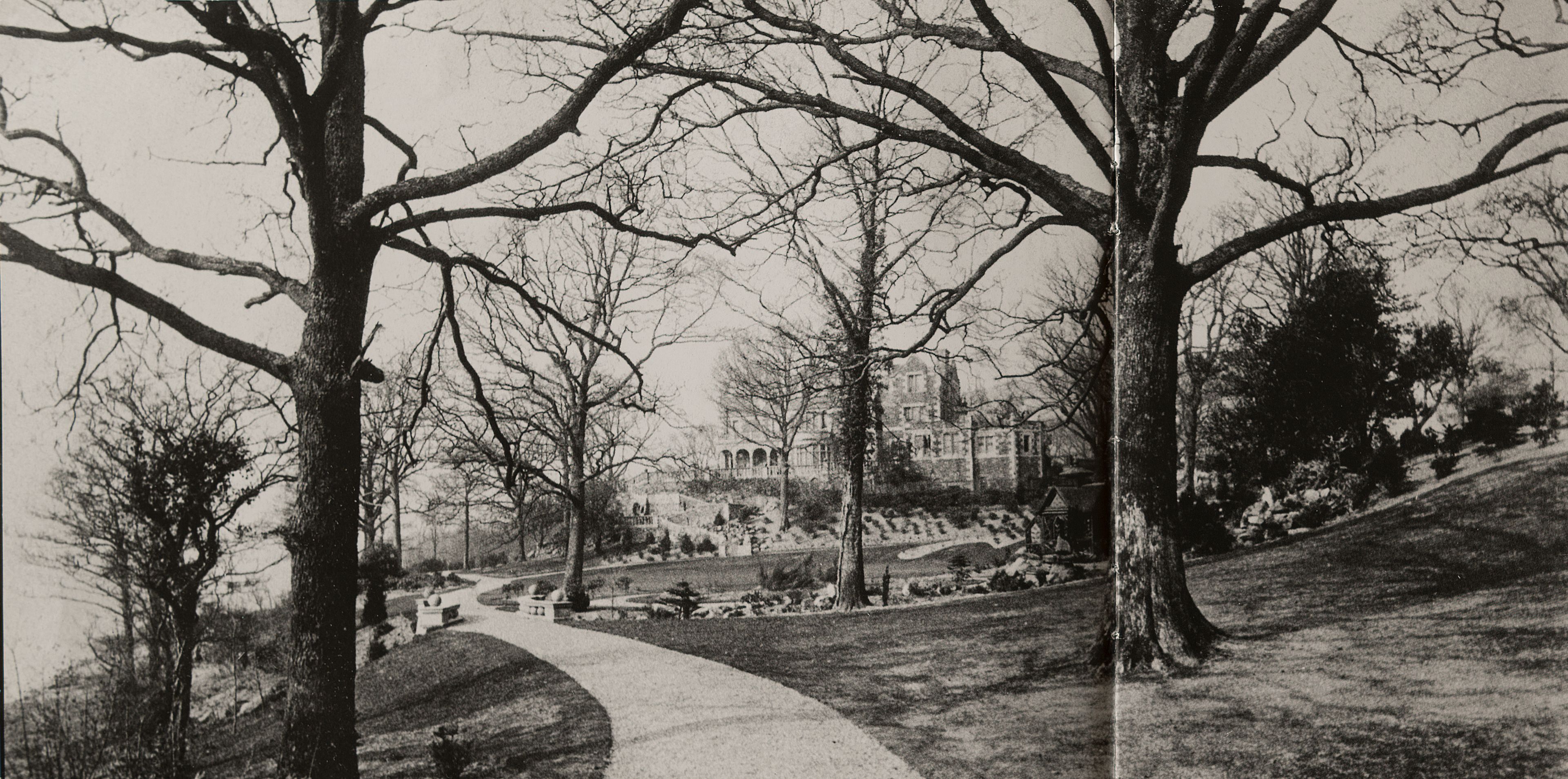 A historic picture of the gardens