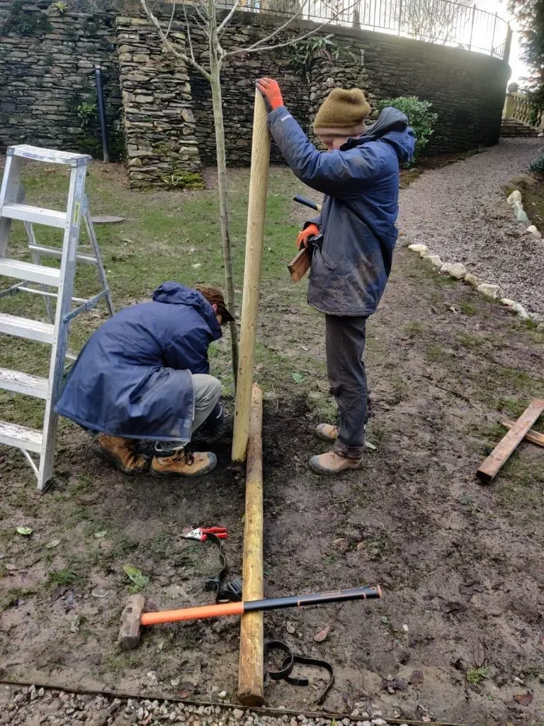 A team setting up tree support logs.