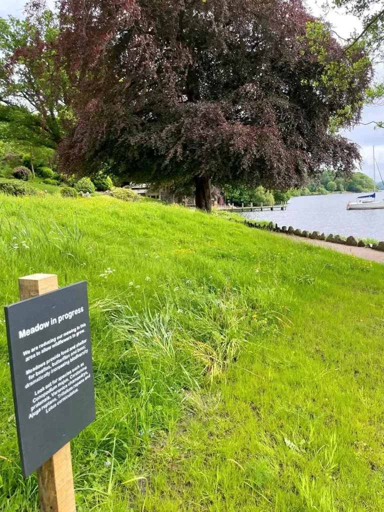 A meadow with a sign